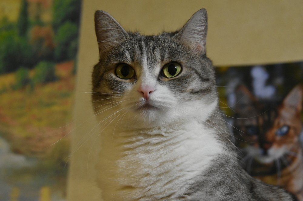 Photograph by Татьяна Калугина