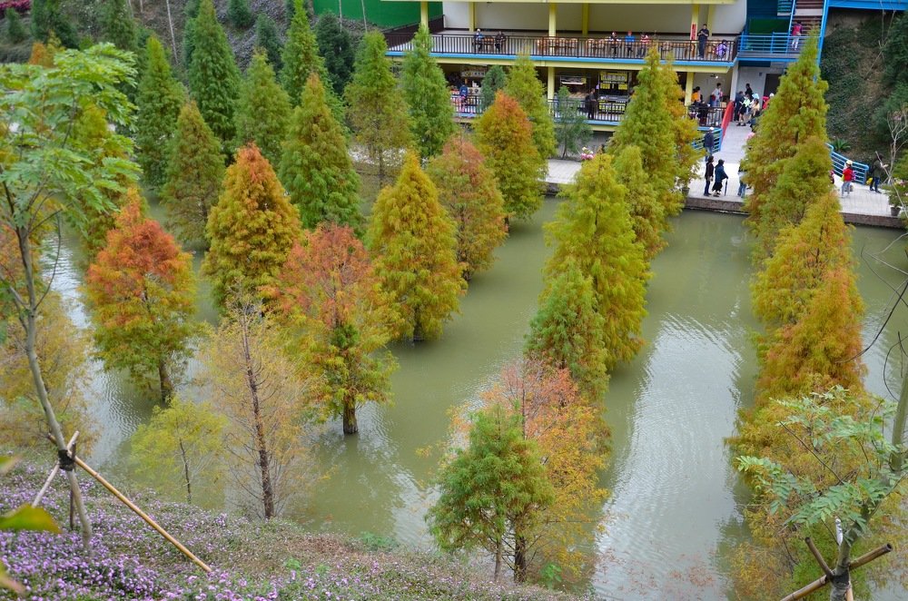 Photograph by Yng-Jaw Jiing