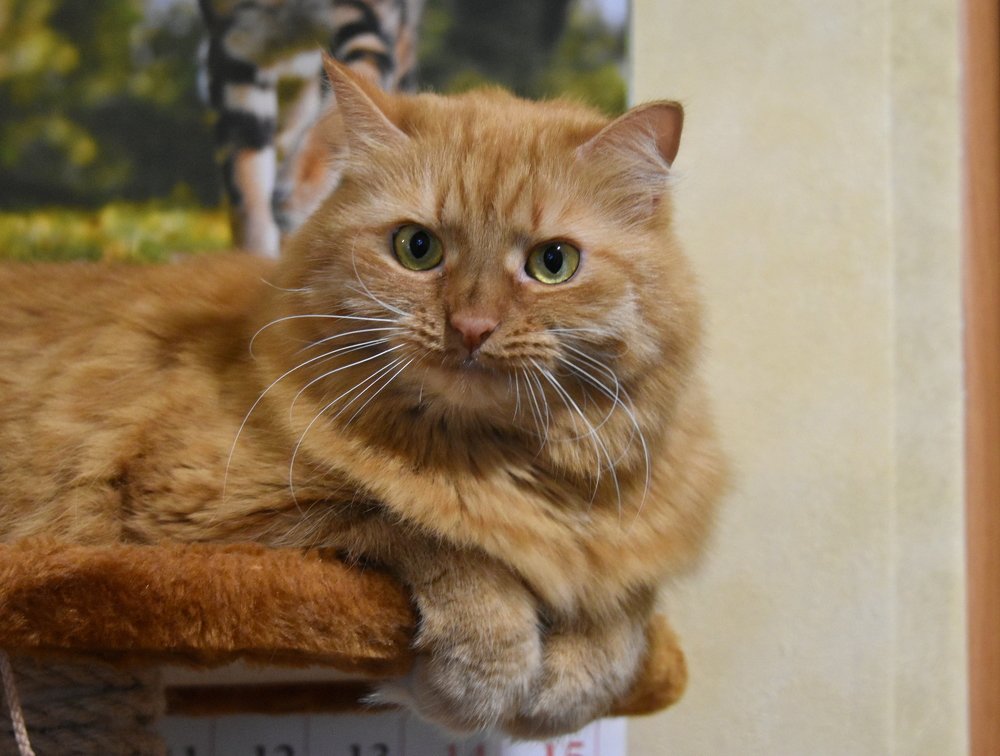 Photograph by Татьяна Калугина