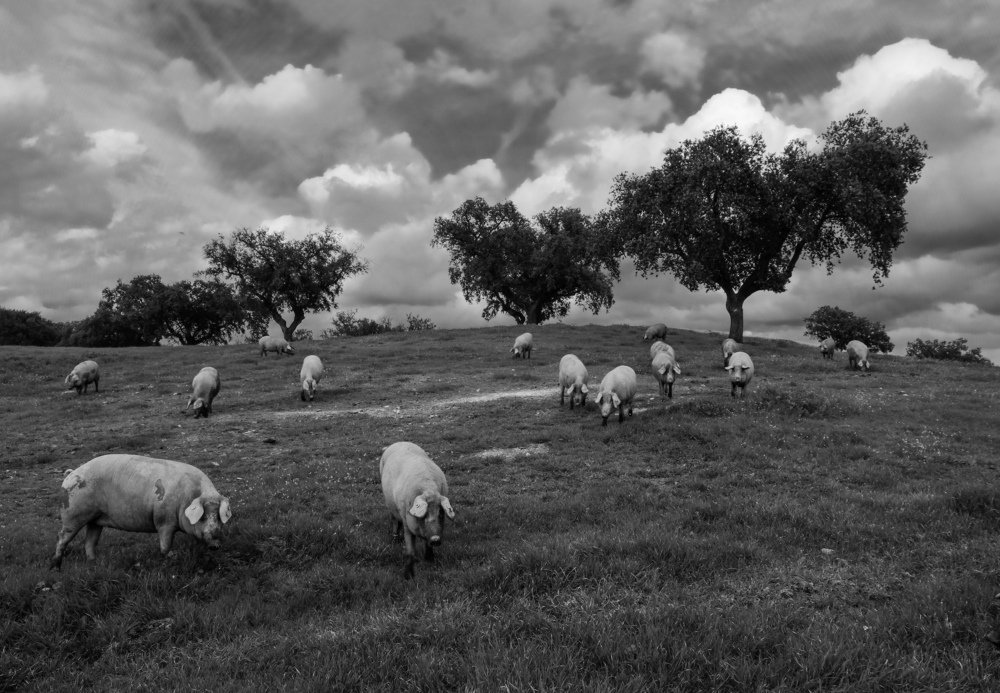 Photograph by Lucia Correia