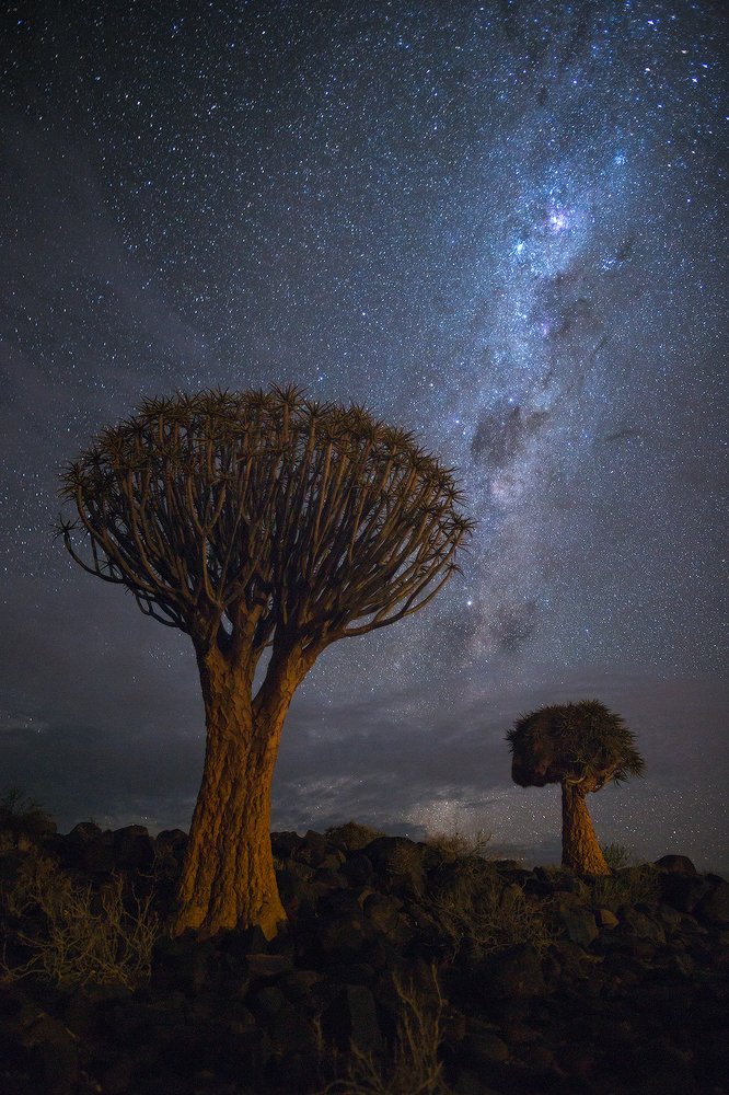 Звезды-Намибии