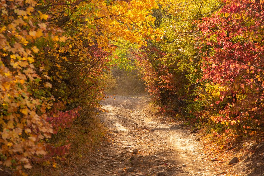 Photograph by Марина Богатырева