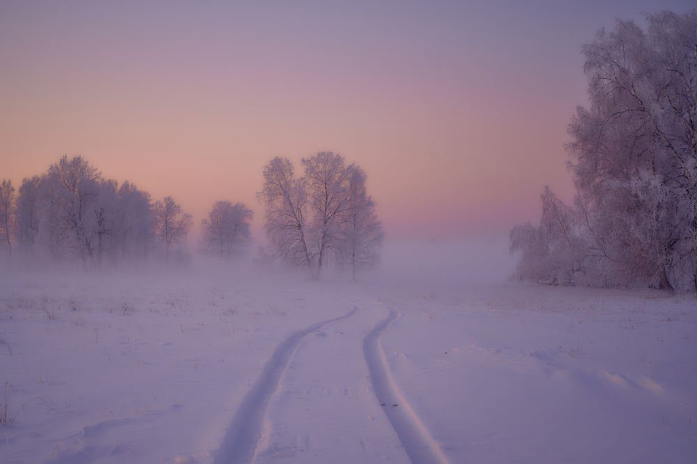 Photograph by Владимир Малевич