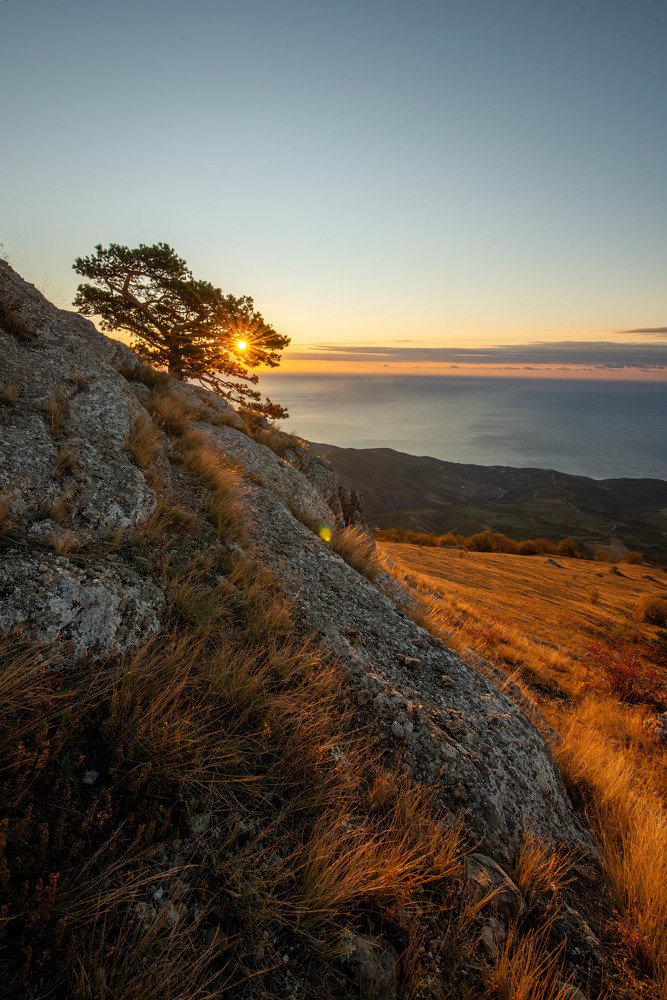 Photograph by Марина Богатырева