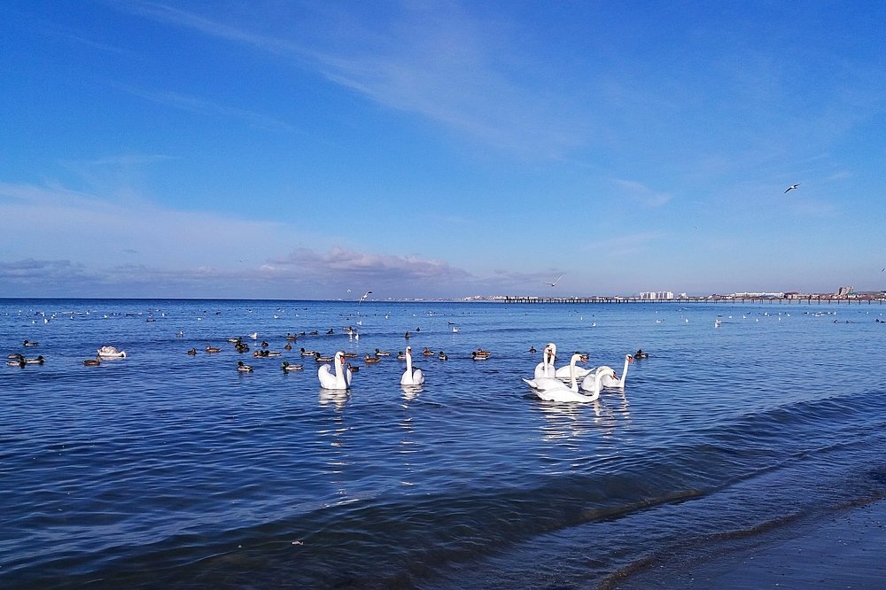 Photograph by Олег Башкуров