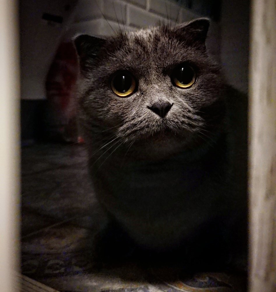 Photograph by Алексей Котлов