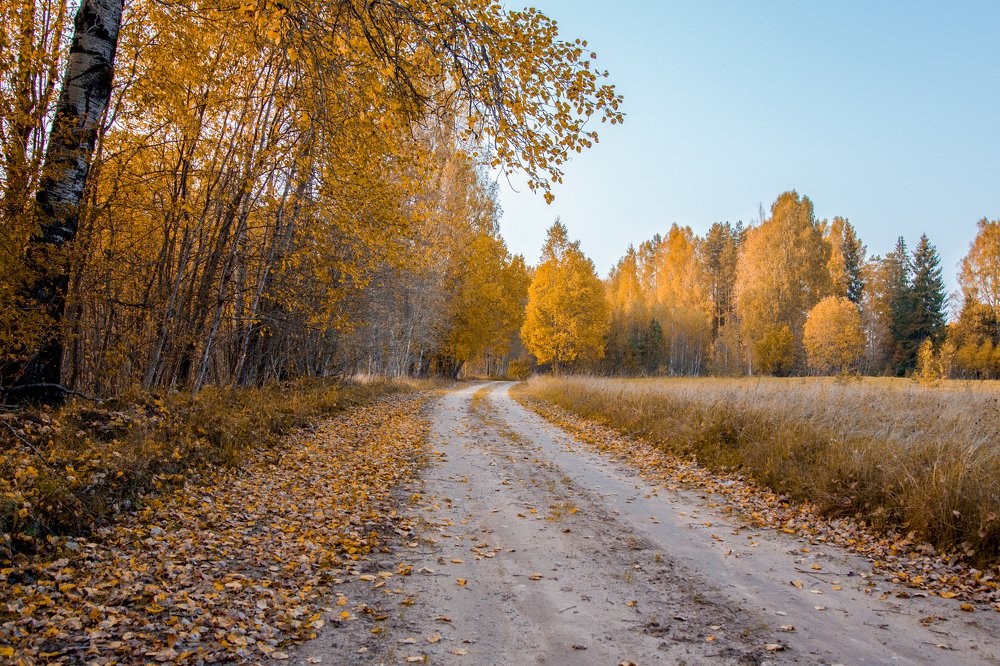 Осенняя дорога