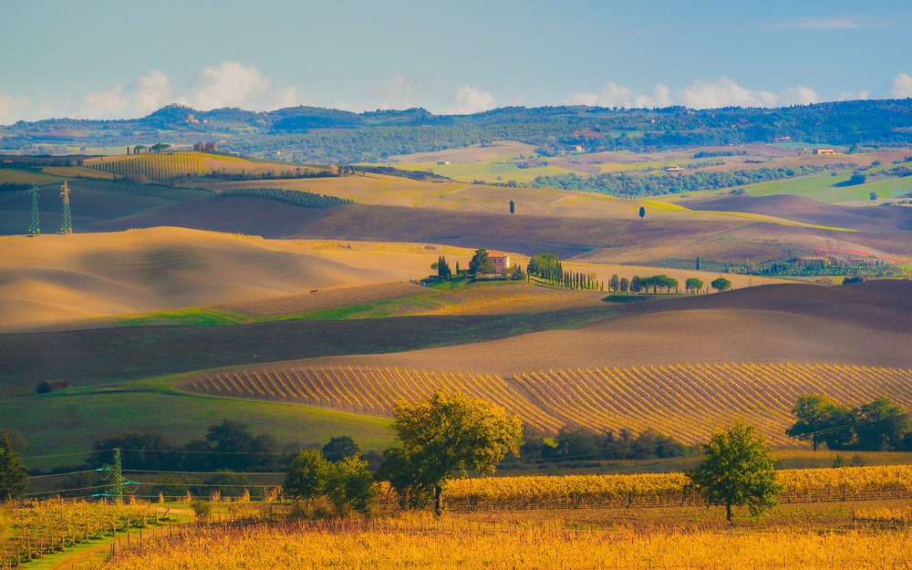 Photograph by Алексей Котлов