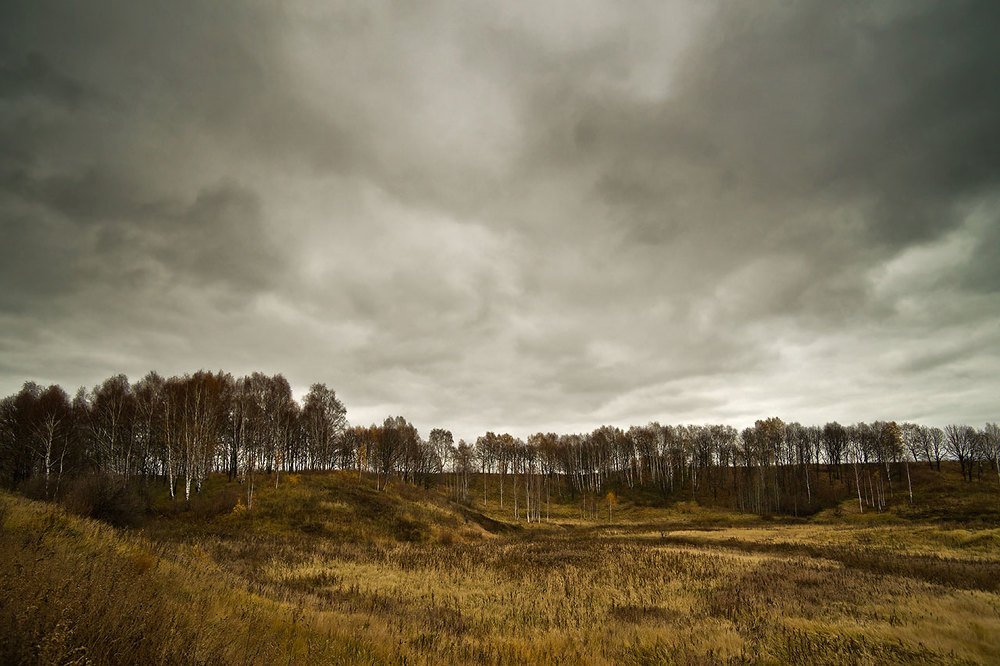 Photograph by Алексей Котлов