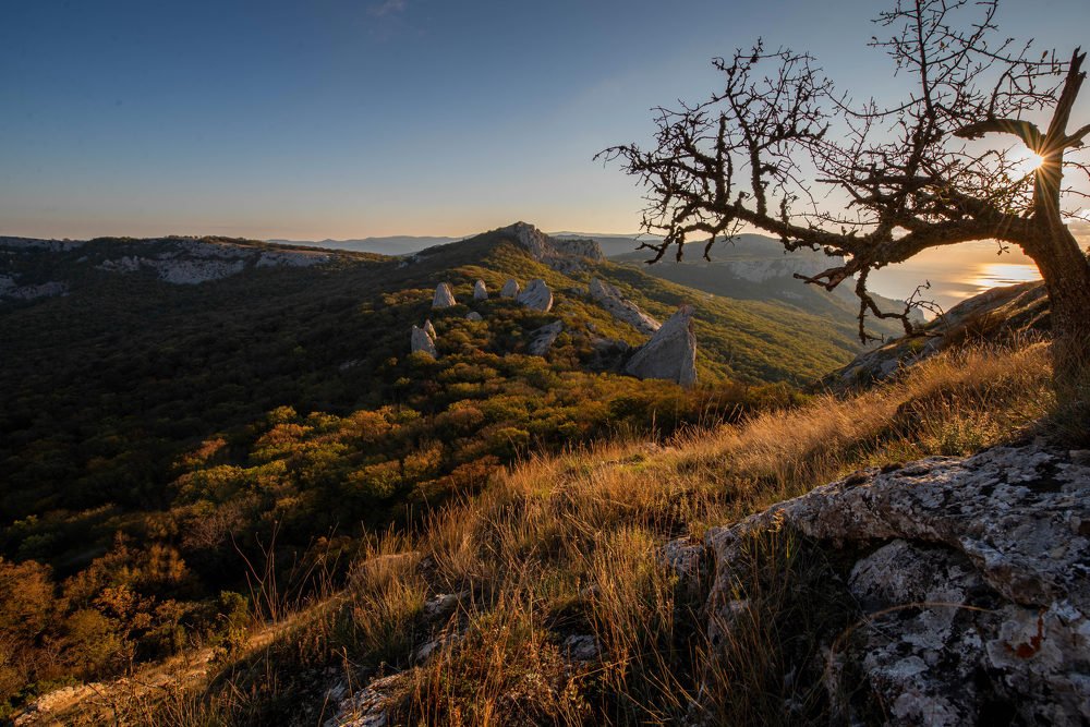 Photograph by Марина Богатырева