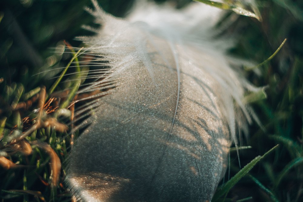 Photograph by Елена