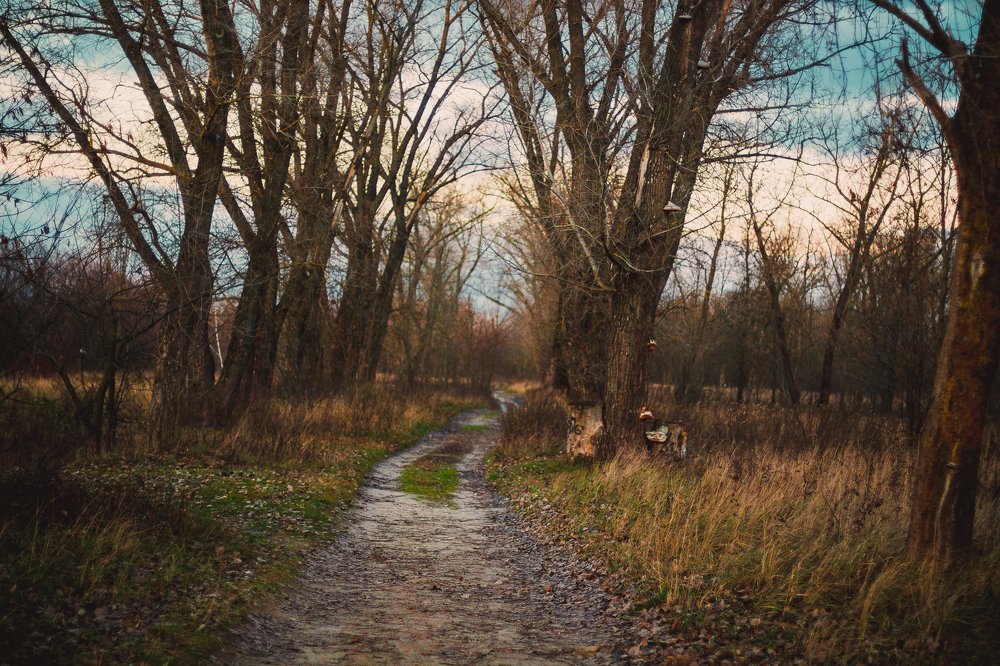 Photograph by Иван Полиненко