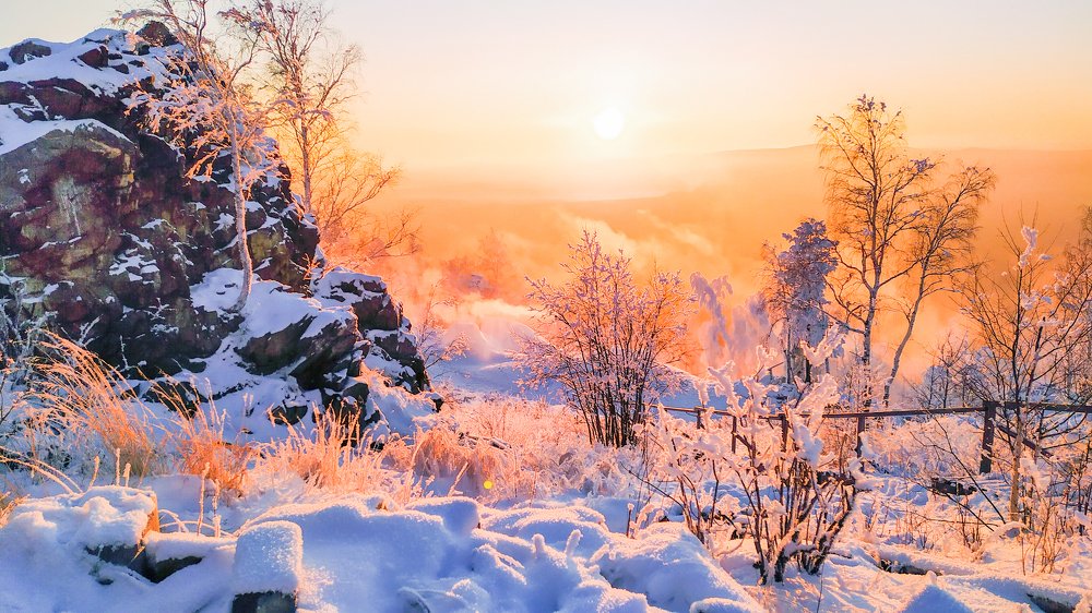 Оранжевый горизонт