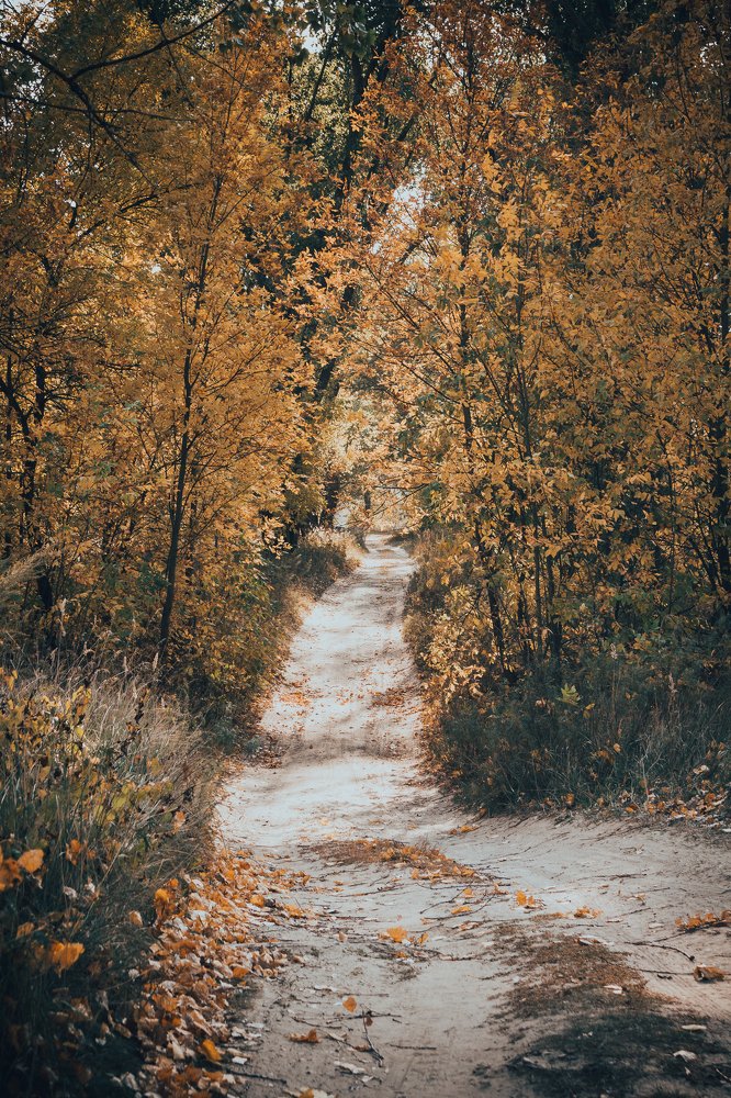 Photograph by Иван Полиненко