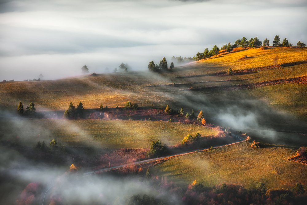 Photograph by Figat Marcin