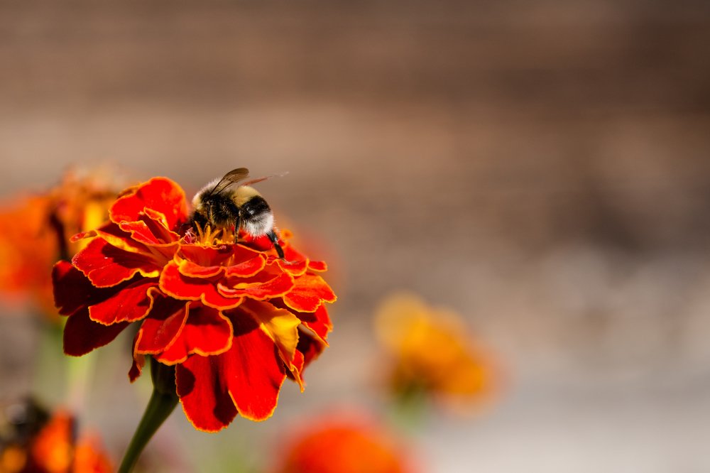 Photograph by Инна Юдина