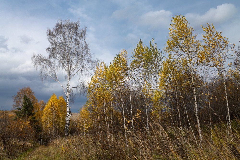 Photograph by Курочкина Диана