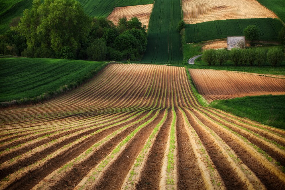 Photograph by Figat Marcin