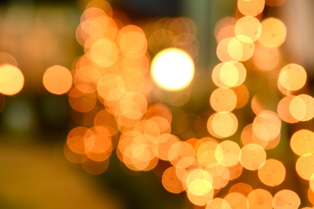 Photograph by Sangib Kumar Barman