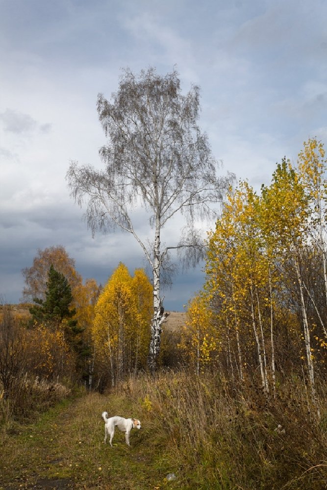 Photograph by Курочкина Диана