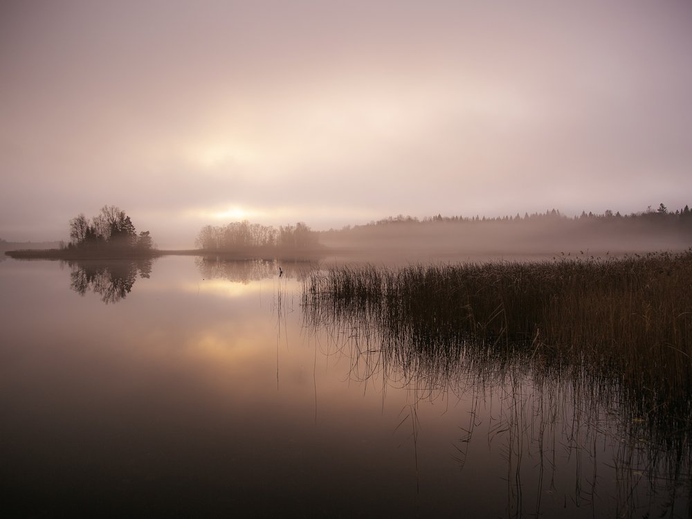 Photograph by Liudmila Drake