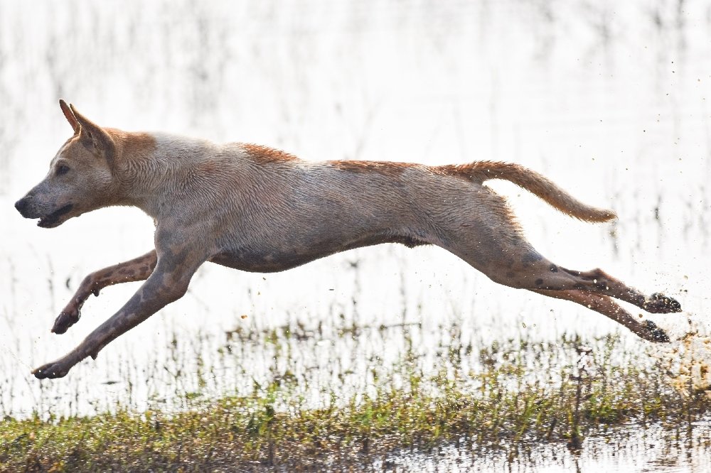 Happiness of Freedom