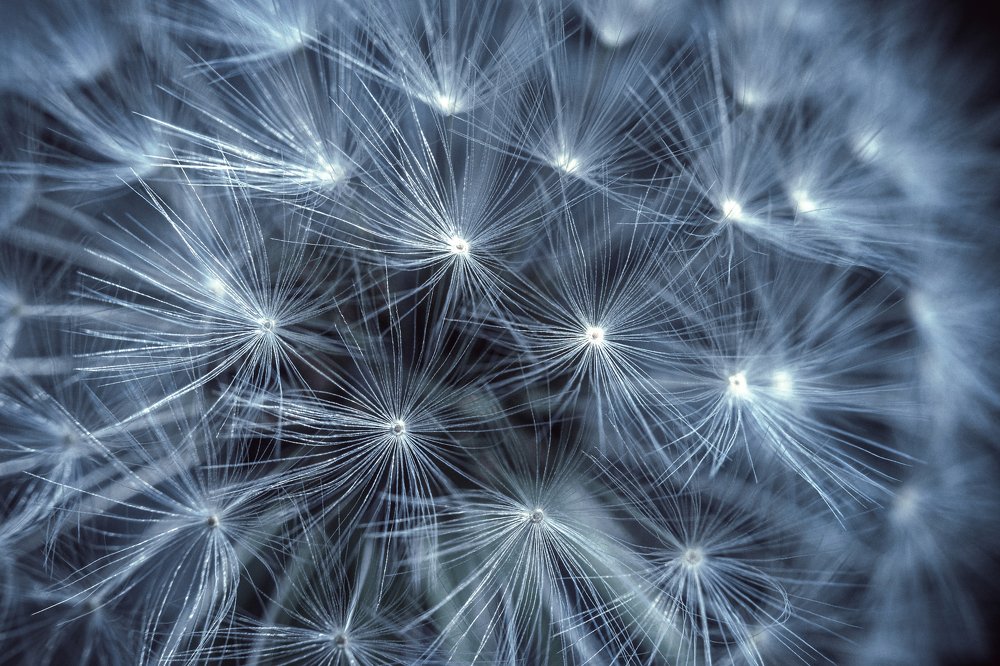 Photograph by Рут Андрей