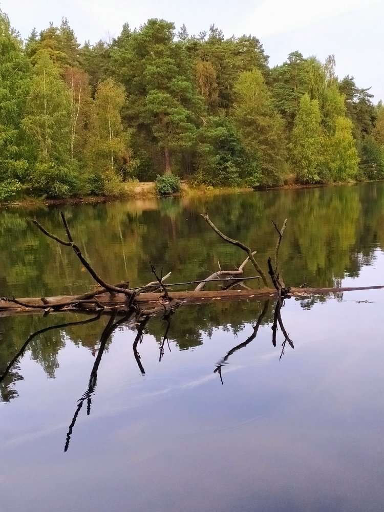 Зазеркалье