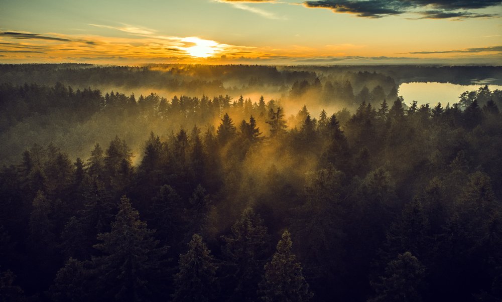 Photograph by Рут Андрей