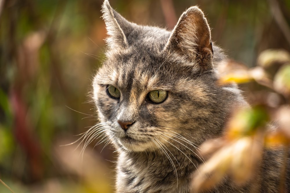 Photograph by Алексей Баженов