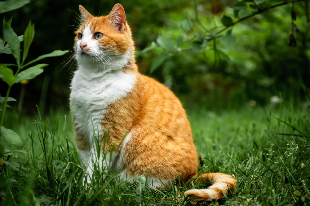 Photograph by Алексей Баженов