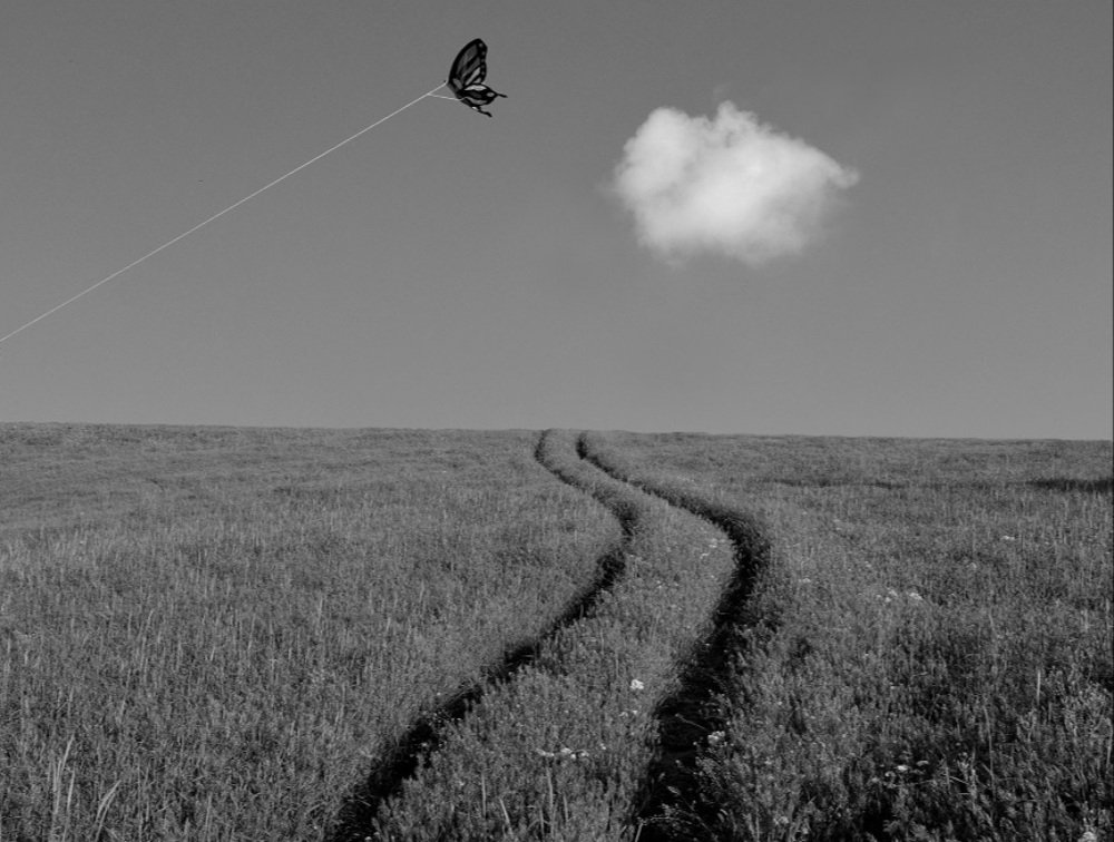 Photograph by Fereydoon ranjkesh