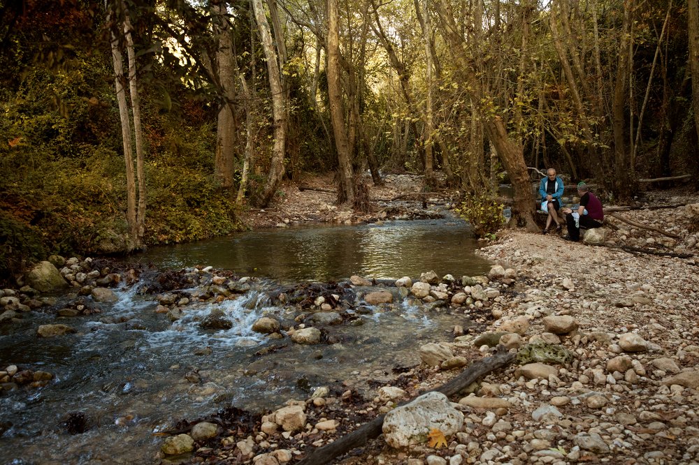 Photograph by Elena Sportes