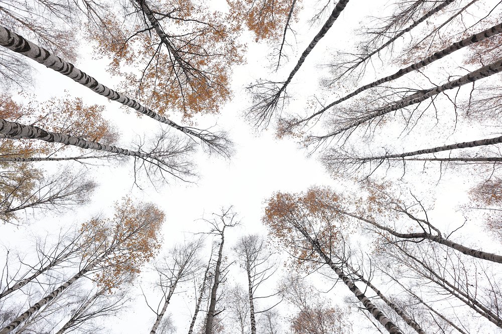 Осенний хоровод.