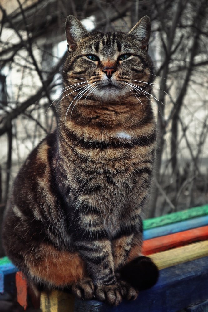 Photograph by Марина Шамич