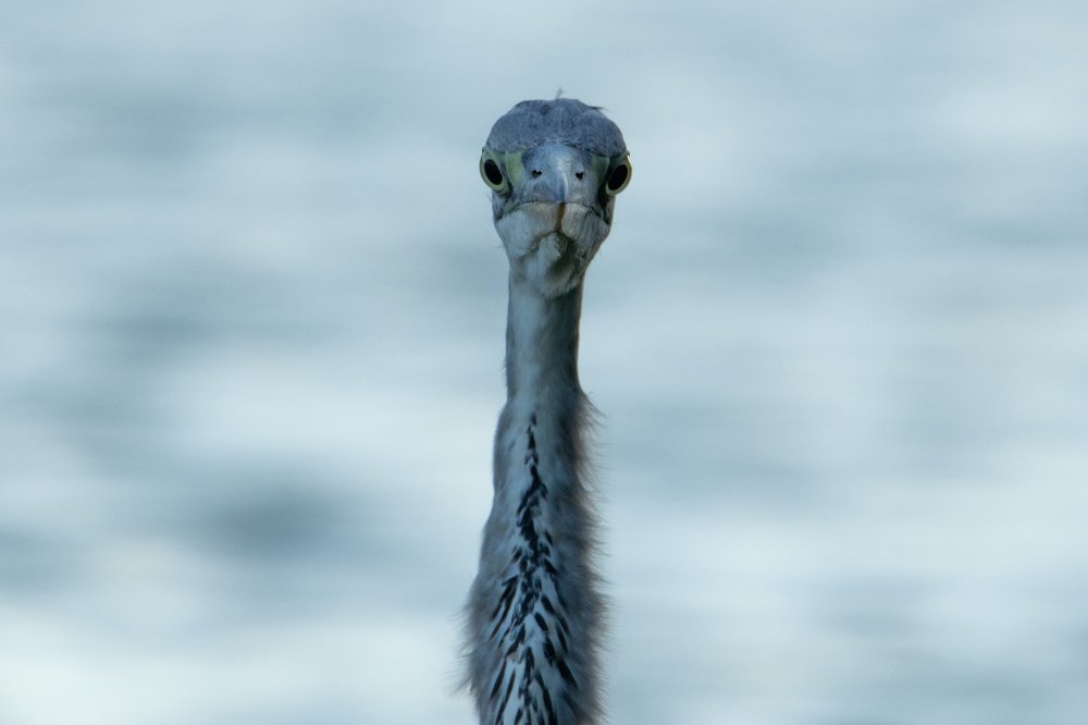 Photograph by Цветков Сергей