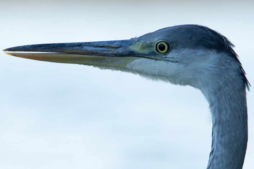 Photograph by Цветков Сергей