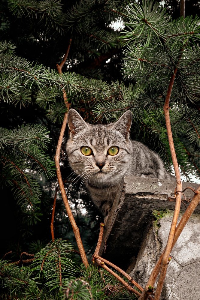 Photograph by Марина Шамич