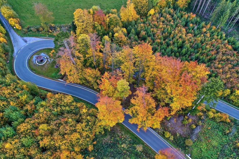 Photograph by Tomáš Neuwirth