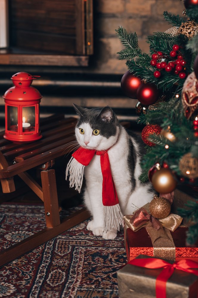 Photograph by Сафронова Любовь