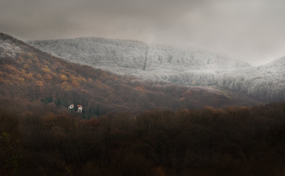 Photograph by Csakvari Janos