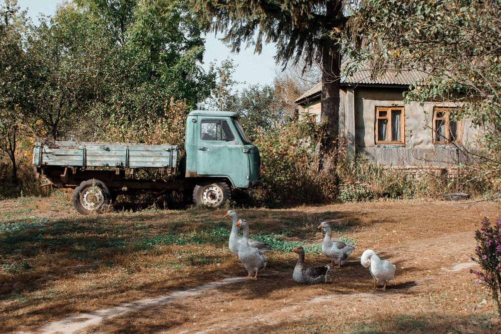 Photograph by Елена