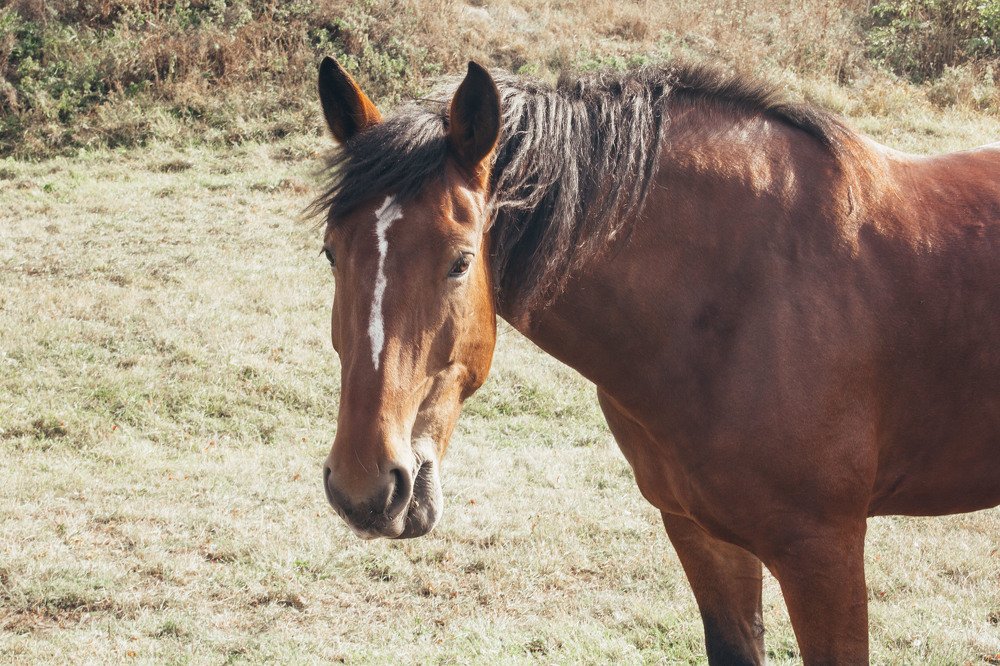 Photograph by Елена