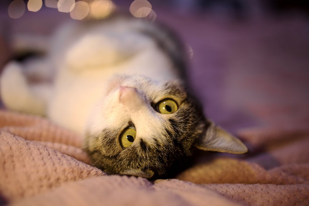 Photograph by Olia Kovryhina (Kudrina)