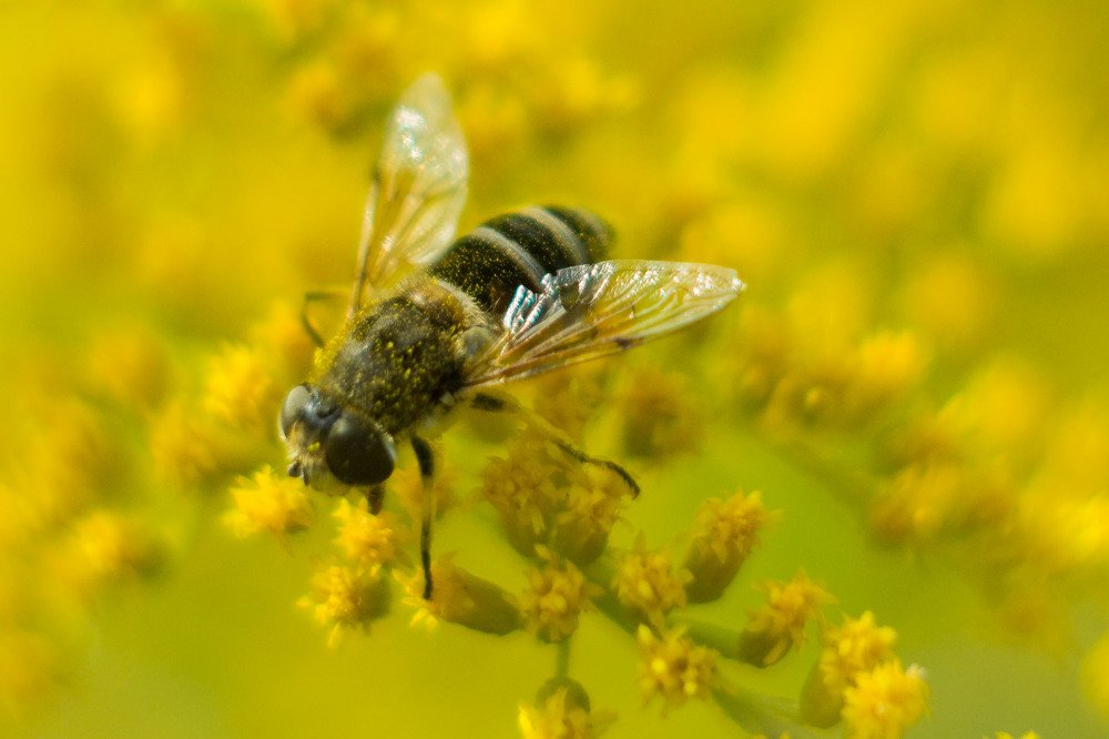 Photograph by Елена