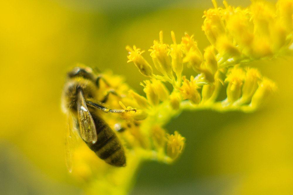 Photograph by Елена