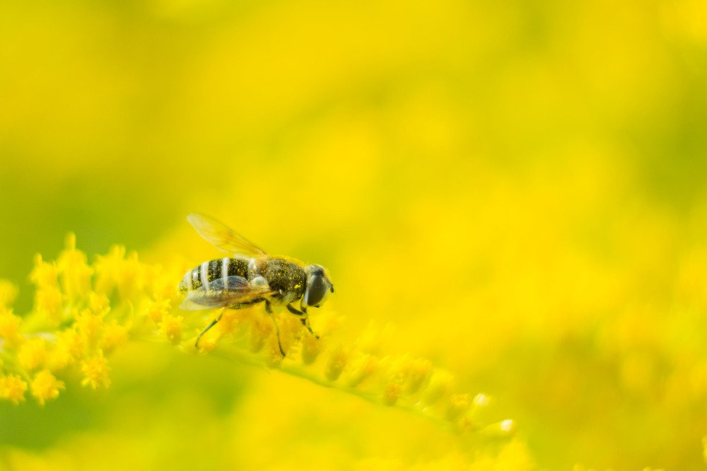 Photograph by Елена