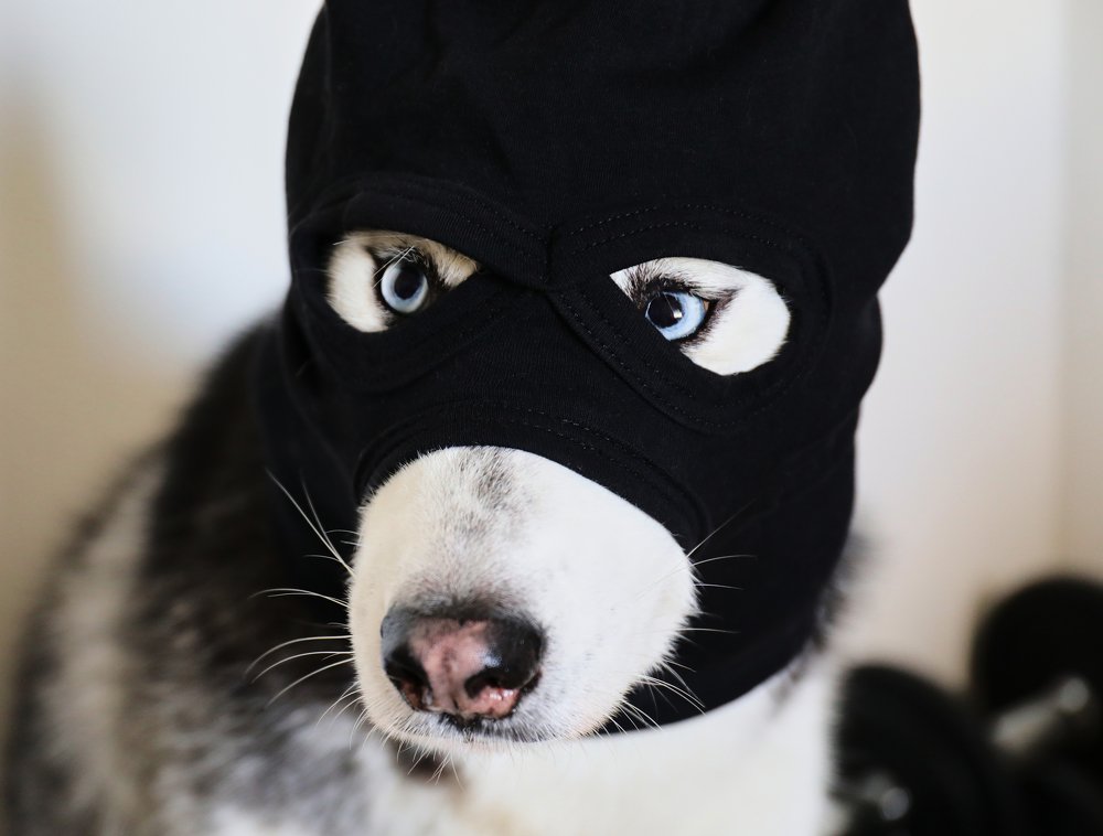 Photograph by Денис Терехин