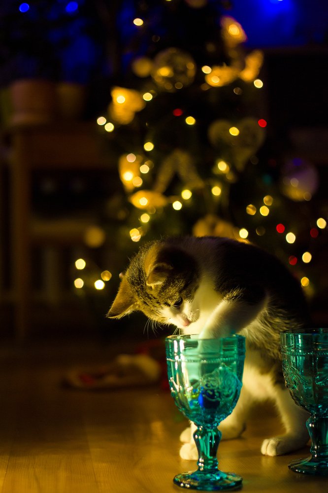 Photograph by Olia Kovryhina (Kudrina)