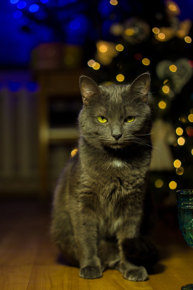 Photograph by Olia Kovryhina (Kudrina)